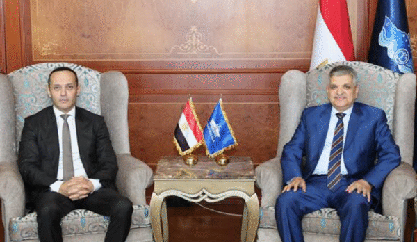 600w × 800h 600w × 800h