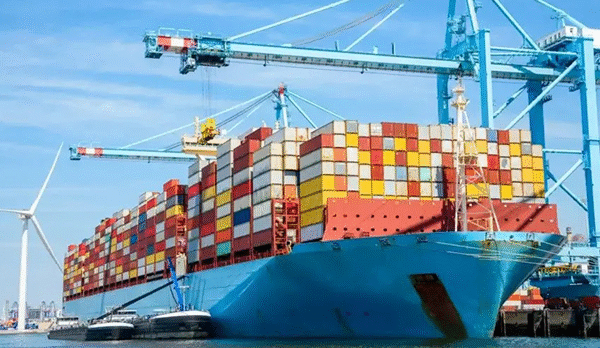 600w × 800h 600w × 800h