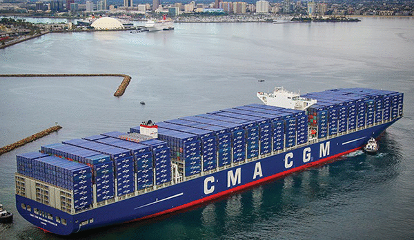 600w × 800h 600w × 800h